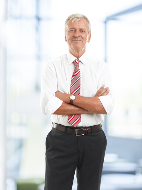 Senior zakenman portret - Foto, afbeelding