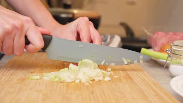 Femme coupant l'oignon dans la cuisine, gros plan - Séquence, vidéo