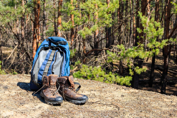 Turistický batoh a turistické boty na mýtině v borovém lese. Koncept túry - Fotografie, Obrázek