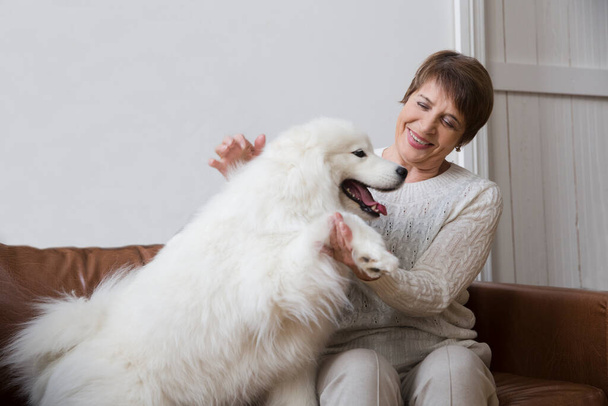 happy senior woman hugging dog  Samoyed husky sitting on sofa at home - Foto, imagen