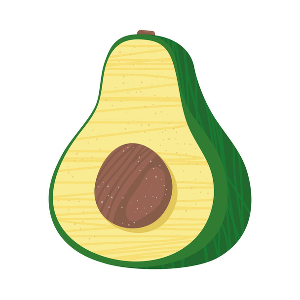 свежий авокадо - Вектор,изображение