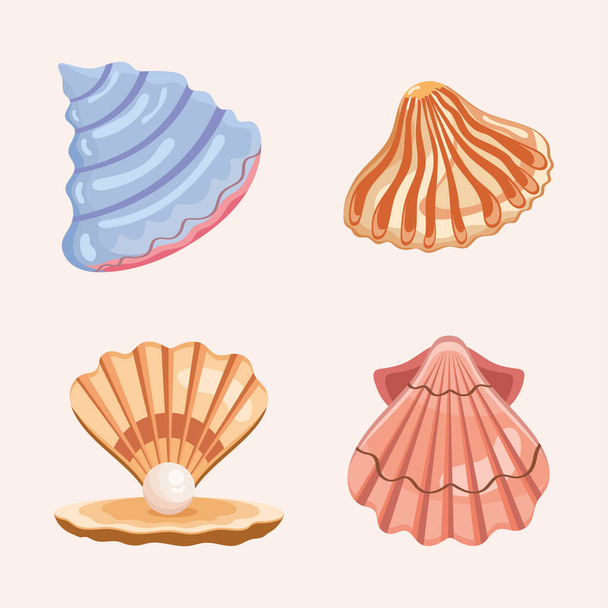 четыре иконки морских раковин - Вектор,изображение