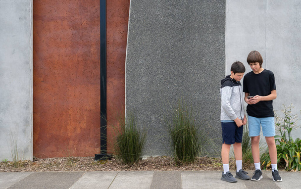 Vue d'ensemble de deux adolescents regardant un téléphone portable debout sur un sentier devant un mur de béton dans un parc urbain avec espace de copie - Photo, image