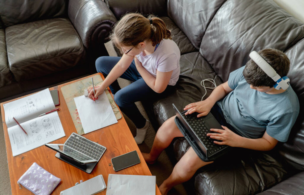 Брат и сестра сидят в гостиной, учатся дома и в Интернете из дома - Фото, изображение