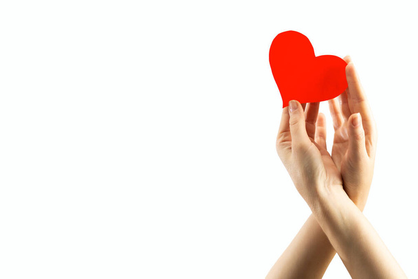 Concepto de salud y medicina. Sensibilización. Las manos de dos mujeres sostienen un corazón rojo aislado sobre un fondo blanco. Día Internacional del SIDA - Foto, imagen