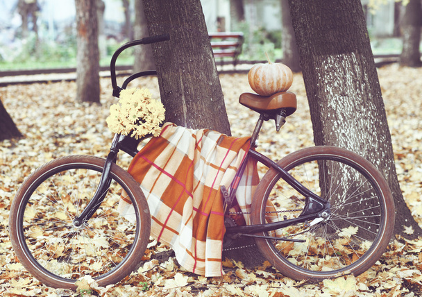 Vintage Bisiklet pumpking ve çiçekler ile dekore edilmiştir.  - Fotoğraf, Görsel