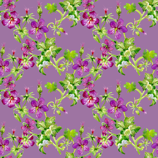 Hibiscus Flowers background - Photo, Image