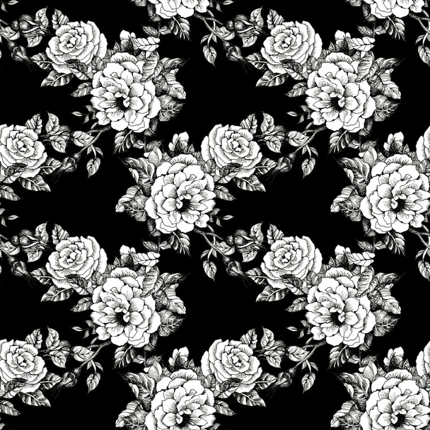 Blooming roses sketch background - Φωτογραφία, εικόνα
