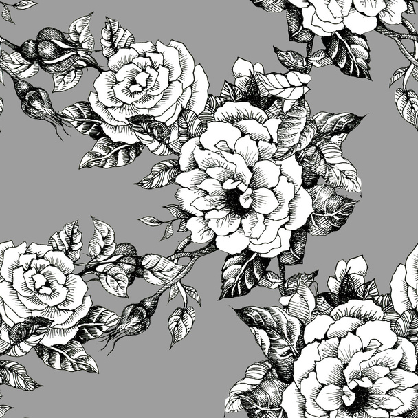 Blooming roses sketch background - Foto, afbeelding