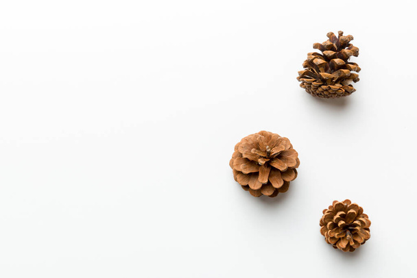Christmas pine cones on colored paper border composition. Christmas, New Year, winter concept. Flat lay, top view, copy space. - Fotografie, Obrázek