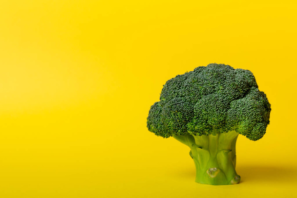 Top view fresh green broccoli vegetable on Colored background. Broccoli cabbage head Healthy or vegetarian food concept. Flat lay. Copy space. - 写真・画像