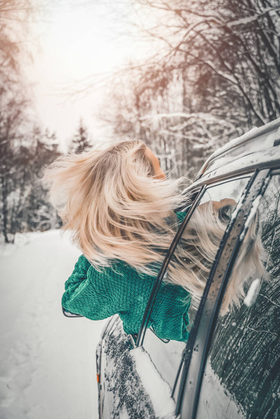 Portrait from the back of a young blonde woman in a green sweater sticking out of the window of her car in a winter snowy forest. Concept of enjoying life, weather, happiness. Vertical photo - Zdjęcie, obraz