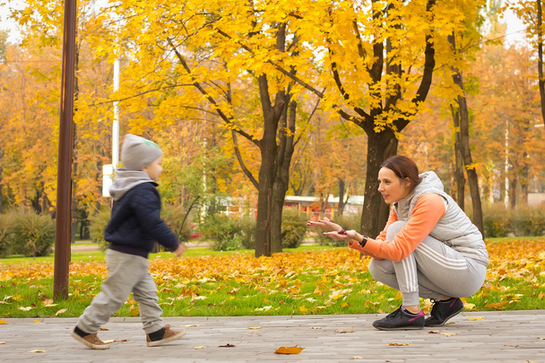 young mother with her children in the park autumn - Photo, Image
