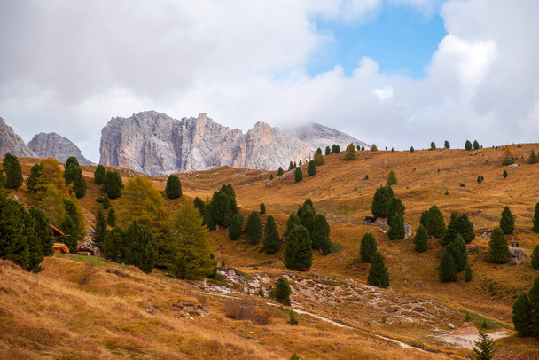 Beautiful panorama of Mount Seceda and Odle, surrounded by magnificent mountain ranges near the town of Ortisei in the Dolomites, Val Gardena, South Tyrol in Italy - Photo, Image