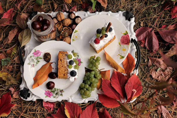 A top view of two pieces of cake on plates surrounded by autumn leaves - Фото, изображение