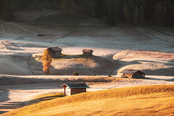 Alpe di Siusi (Seiser Alm) prado alpino con hermoso amanecer en el fondo con las montañas Sassolungo y Langkofel visibles cerca de la ciudad de Ortisei en la provincia de Tirol del Sur en Italia - Foto, imagen