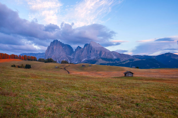Alpe di Siusi (Seiser Alm) alpine meadow in the background with the Sassolungo and Langkofel mountains visible near the town of Ortisei in the province of South Tyrol in Italy - Photo, Image