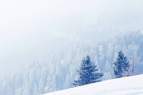 Winter mountain forest in snow beautiful landscape in ski resort in Solden Austria - Fotoğraf, Görsel