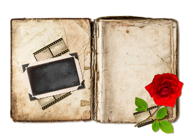 old book with aged pages and red rose flower - 写真・画像