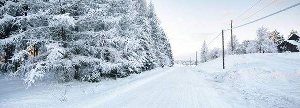 夕暮れ時の雪に覆われた森林農村部の道路のパノラマビュー。松の木。青い光だ。冬の不思議の国。電力線の接近。観光、季節、自然、オフロード、物流、遠隔村 - 写真・画像