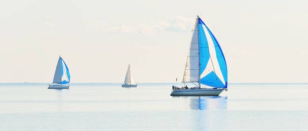 Vitorlás jacht regatta. Modern vitorlások versenyeznek kék spinnaker vitorlákkal. Tiszta nyári nap. Kiel, Németország. Sport és rekreáció, közlekedés, privát hajó, nyaralás - Fotó, kép