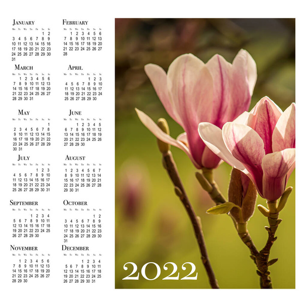 Cartão de calendário para 2022. Fórmula botânica.  - Foto, Imagem