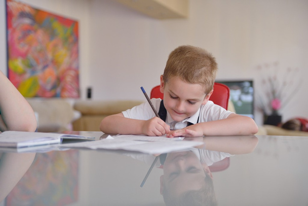 Boy doing homework - Fotografie, Obrázek