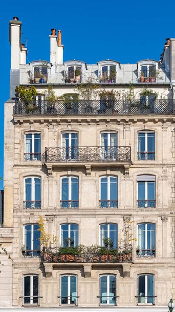 París, edificio típico, fachada parisina rue de Rivoli - Foto, imagen