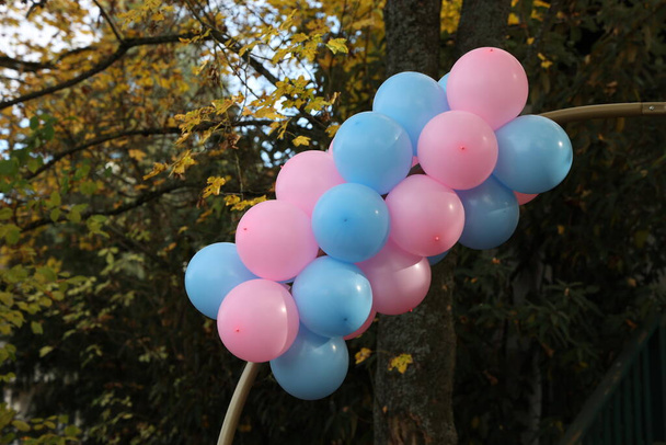 Genderonthullende partij. Blauwe en roze ballonnen voor de vakantie. - Foto, afbeelding
