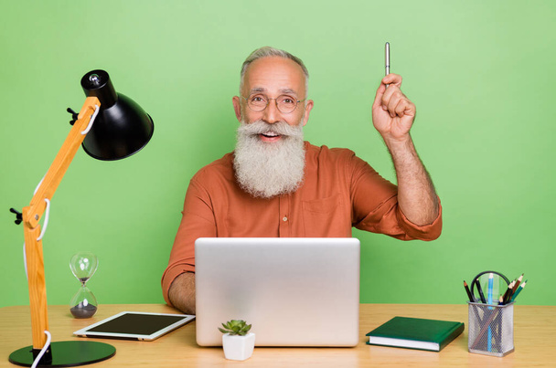 Portrait of attractive intellectual bearded cheery brainy grey-haired man agent broker find solution isolated over green color background - Fotó, kép