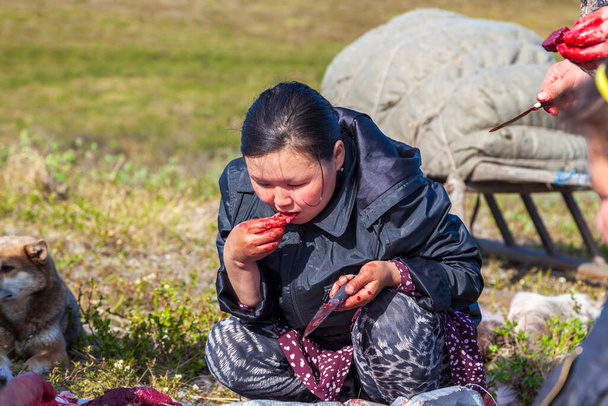 La vida y la vida cotidiana de los pueblos pequeños del norte, la morada de los Nenets, el campamento de renos. Nadym, Rusia - 4 de julio de 2021 - Foto, Imagen