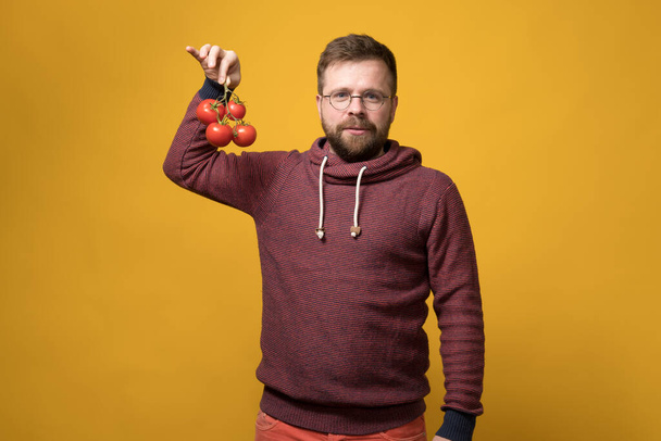 Der attraktive bärtige Mann mit Brille hält einen Zweig roter, reifer Tomaten in der Hand und blickt gelassen in die Kamera. Gelber Hintergrund. - Foto, Bild