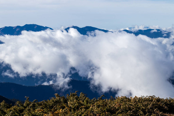 山の中の雲と霧 - 写真・画像