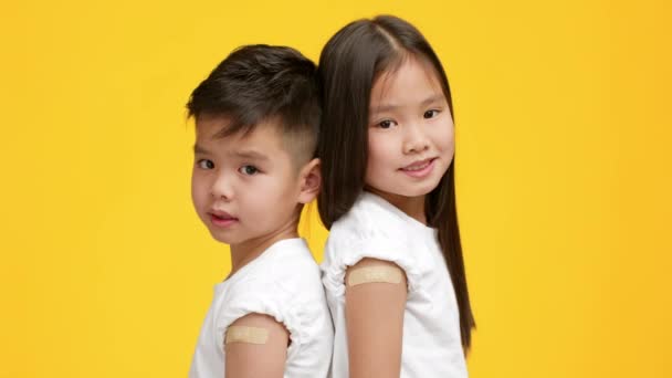 Vacunado poco asiático chico y chica mostrando brazos, fondo amarillo - Metraje, vídeo