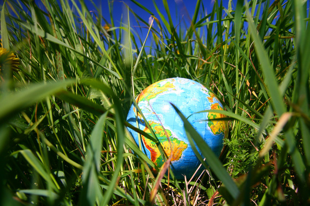 Глобус в траве
 - Фото, изображение