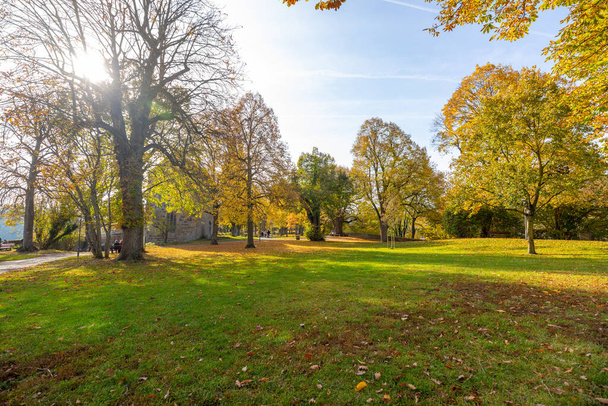 Прекрасный осенний парк. Осень в Германии. Осенние деревья и листья. - Фото, изображение