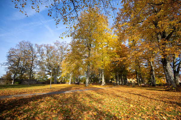 Прекрасный осенний парк. Осень в Германии. Осенние деревья и листья. - Фото, изображение