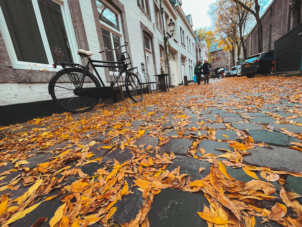 Maastricht, Netherlands - October 16, 2021: Street view in autumn in Maastricht, a city in Limburg, the Netherlands. - Фото, изображение