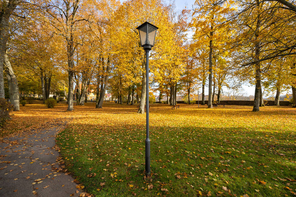 Парковая лампа и скамейка в парке. Прекрасный осенний парк. Осень в Германии. Осенние деревья и листья. - Фото, изображение