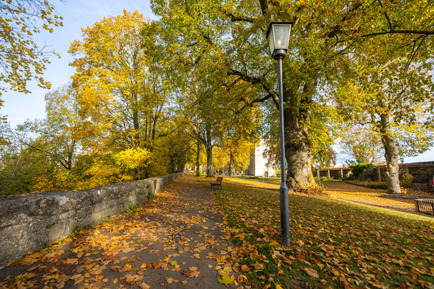 Парковая лампа и скамейка в парке. Прекрасный осенний парк. Осень в Германии. Осенние деревья и листья. - Фото, изображение