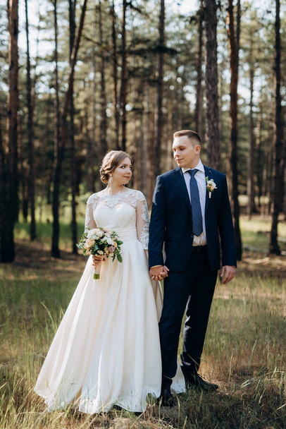 the bride and groom are walking in a pine forest on a bright day - Fotoğraf, Görsel