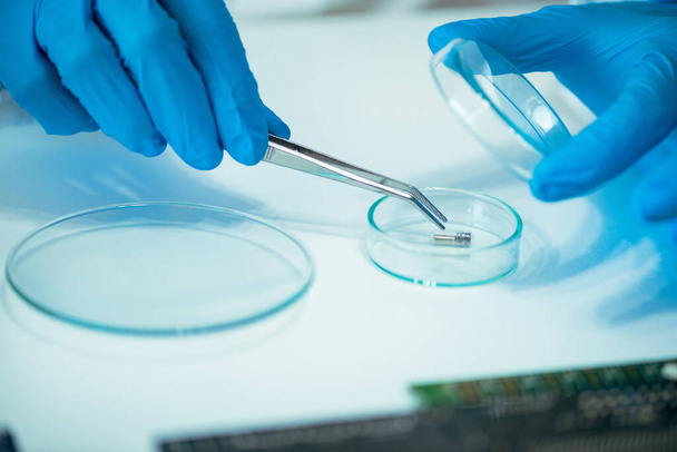Laboratory Technician Working with Chip Implants - Photo, Image