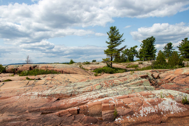 Red granite and pine trees on the Canadian Shield in Killarney, Ontario, Canada on a summer day - Фото, изображение