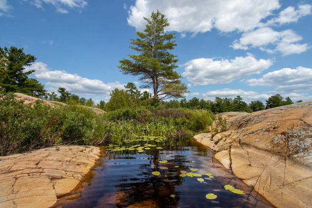 red granite rock formations and ponds on Georgian Bay - Фото, изображение