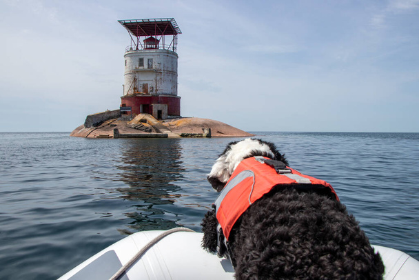 Hond in een boot nadert een groot rood-wit lichthuis aan Georgian Bay in Ontario, Canada - Foto, afbeelding