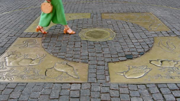 Chica en un vestido caminando sobre las piedras de pavimentación en el símbolo - Imágenes, Vídeo