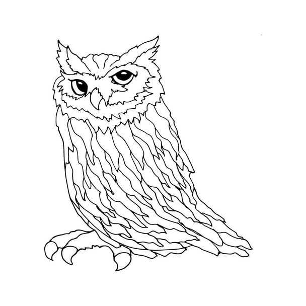 ilustración dibujada a mano, pájaro del búho del contorno, garabatos, anti estrés para colorear, postal - Vector, imagen