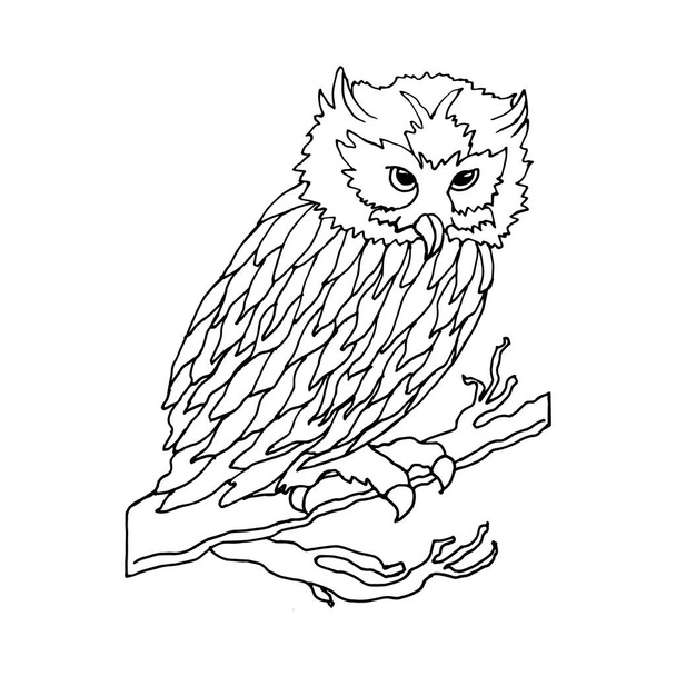 ilustração desenhada à mão, contorno coruja pássaro, rabiscos, anti stress para colorir, cartão postal - Vetor, Imagem