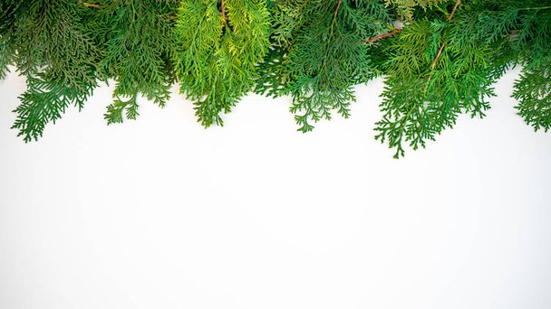 Telaio di ramo di pino verde isolato su sfondo bianco e spazio per il testo. Vista dall'alto di rami e coni di abete di Natale per banner decorativi e concetto di Capodanno. - Foto, immagini