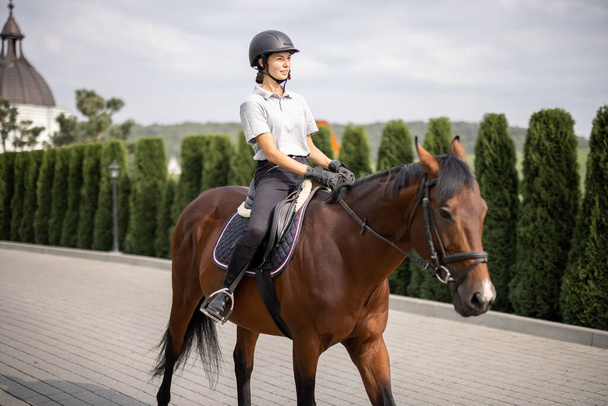 Naispuolinen ratsumies ratsastus ruskea täysiverinen hevonen kesällä - Valokuva, kuva
